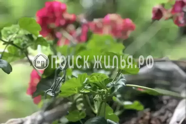 Гостевой дом «Эмида»