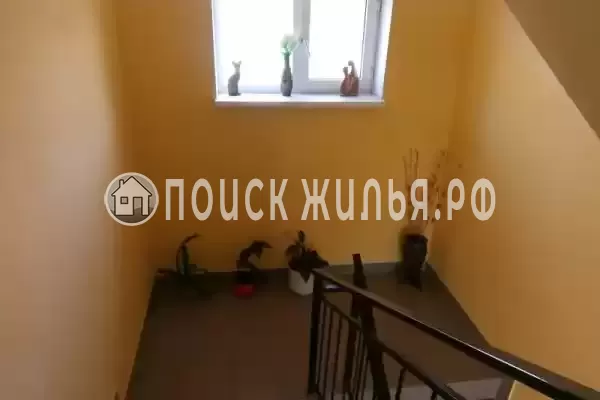 «София» «София»