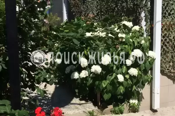 Частный сектор «Мини Рио» Частный сектор «Мини Рио»