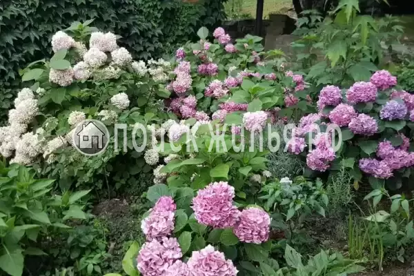 Дом под ключ «Ивушка» Дом под ключ «Ивушка»