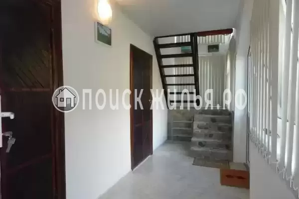 «Лесная поляна»