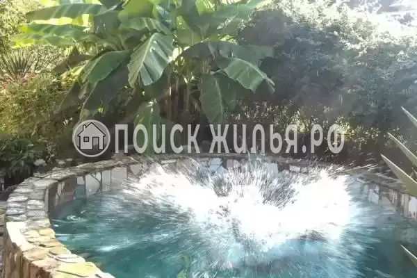 «Лесная поляна»