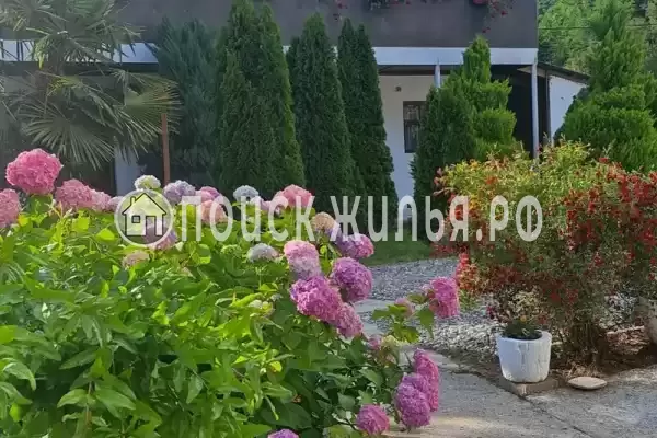 Гостиница «Бамбучо»