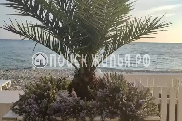 Квартира «У моря»