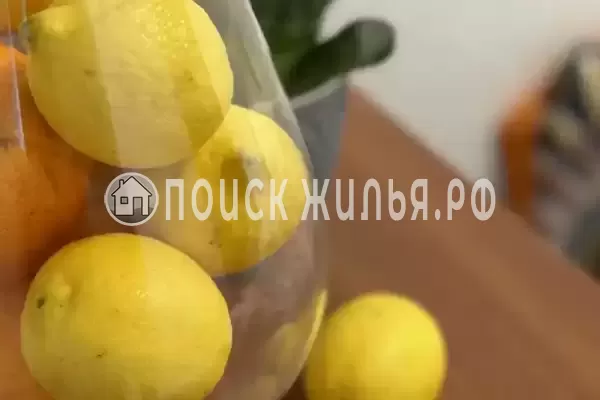 Гостевой дом «Бухара» Гостевой дом «Бухара»
