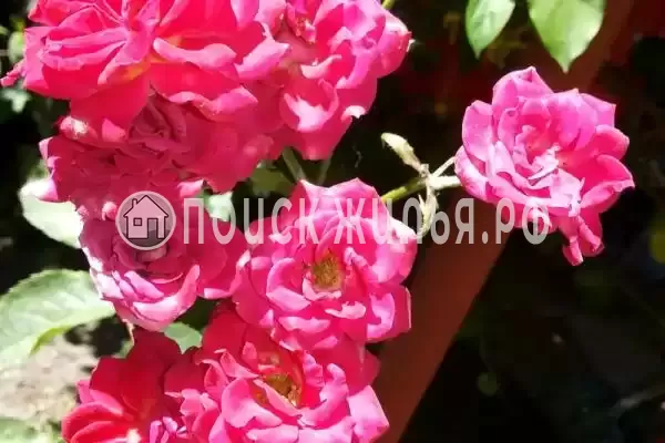 Дом под ключ, Энгельса, д.96