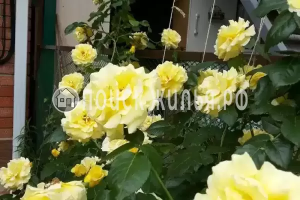 Дом под ключ, Энгельса, д.96