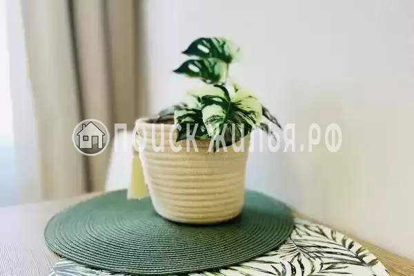 Апартаменты «3-х местные в центре»