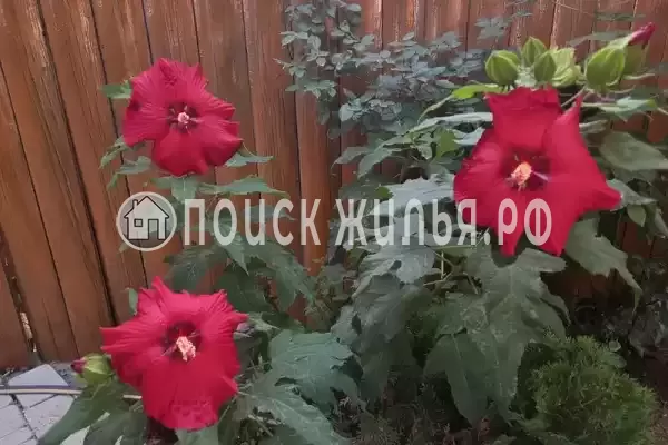 Частный сектор «Эльф»