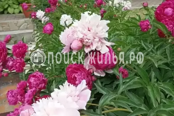 Дом под ключ «Фортуна»