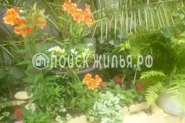 Частный сектор «Трехкомнатный коттедж» Частный сектор «Трехкомнатный коттедж»