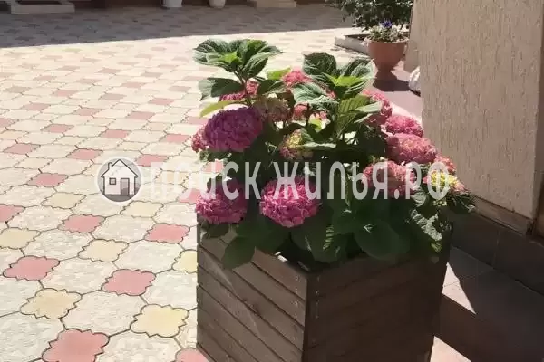 «Венера» «Венера»