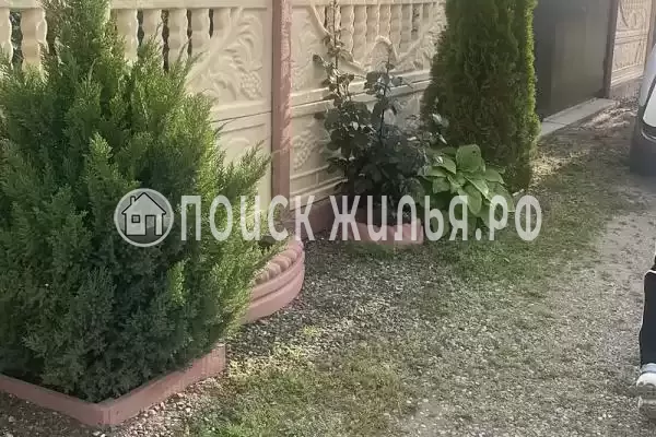 «Венера» «Венера»