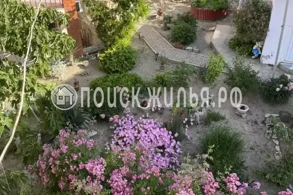 «Бумеранг»