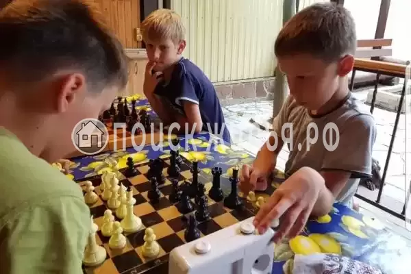 «Весёлый рапан» «Весёлый рапан»