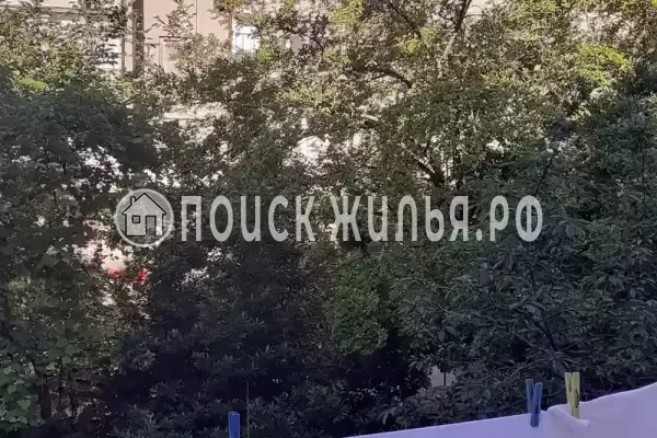 Квартира «В центре»