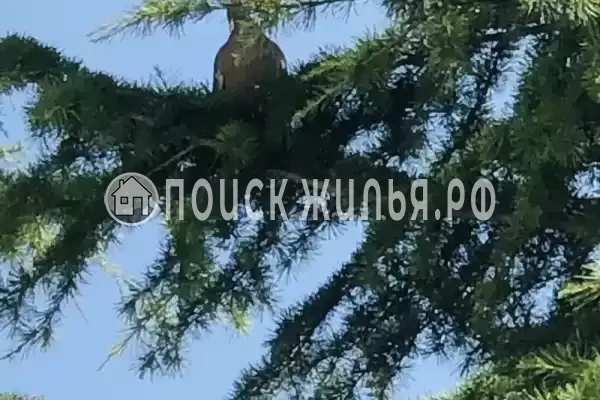 Апартаменты «Alushta Royal»