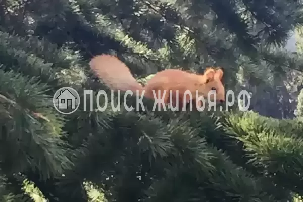 Апартаменты «Alushta Royal»