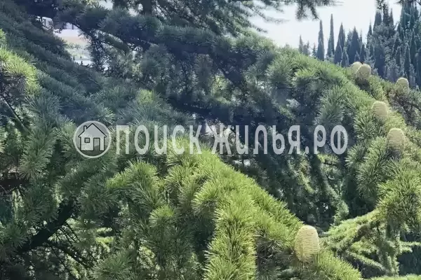 Апартаменты «Alushta Royal»