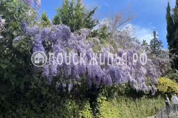 Квартира, Грибоедова, д.17