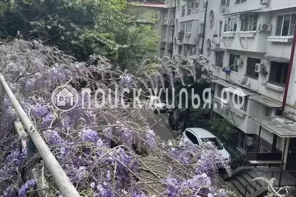 Квартира, Грибоедова, д.17