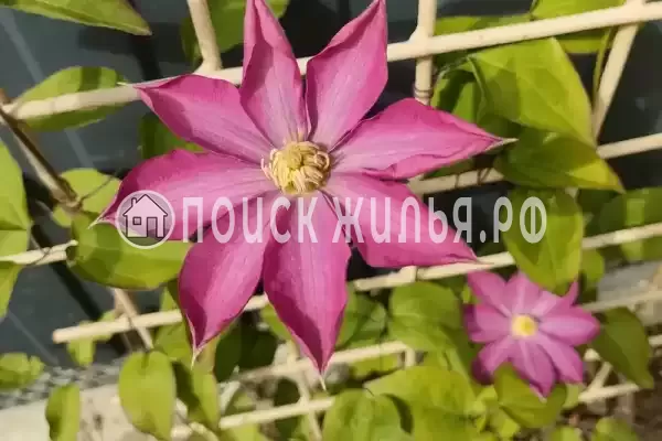 Частный сектор «Август» Частный сектор «Август»