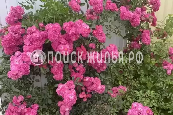 Частный сектор «Под ключ» Частный сектор «Под ключ»