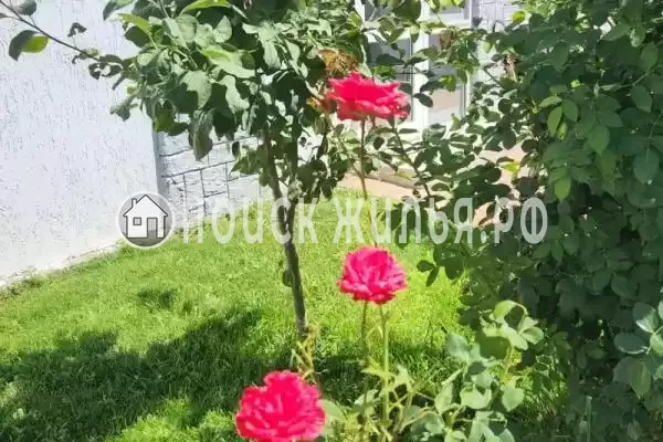 Апартаменты «ZaChill»