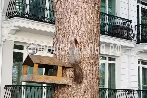 Апартаменты «В ЖК Покровский парк»