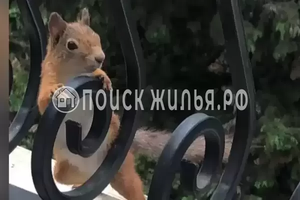 Апартаменты «В ЖК Покровский парк»