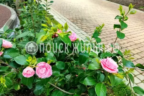 Апартаменты «В ЖК Покровский парк»