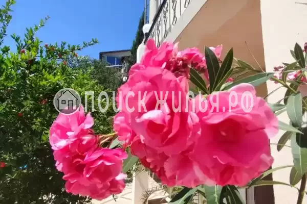 Частный сектор, Пушкина, д.11