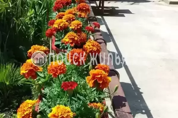 Дом под ключ «Вишня»