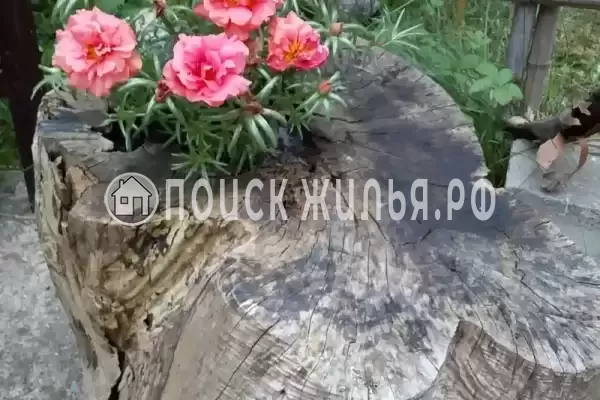 Дом под ключ «Вишня»