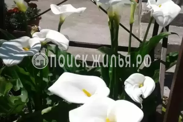 Дом под ключ «Вишня»