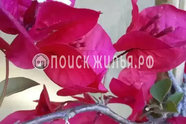 Дом под ключ «Вишня»