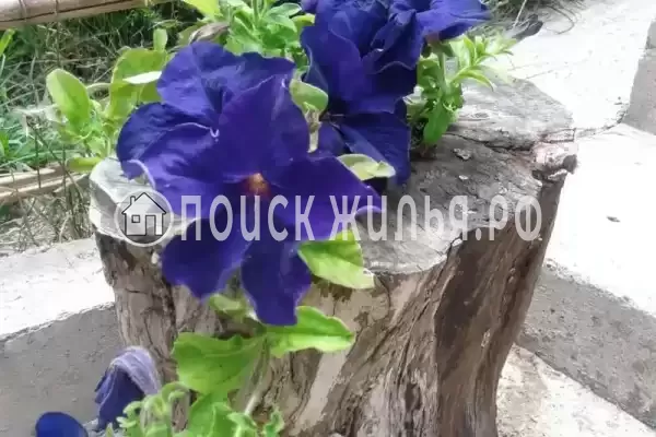 Дом под ключ «Вишня»