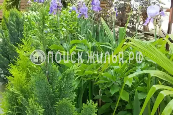 Дом под ключ «Вишня»