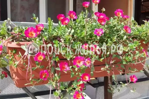 Дом под ключ «Вишня»