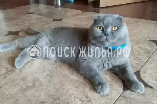 Дом под ключ «Вишня»