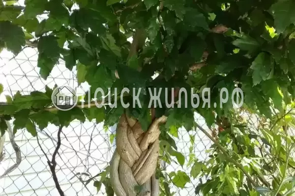 Дом под ключ «Вишня»