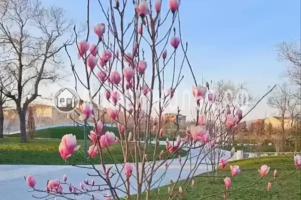 Дом под ключ «Уютный домик»