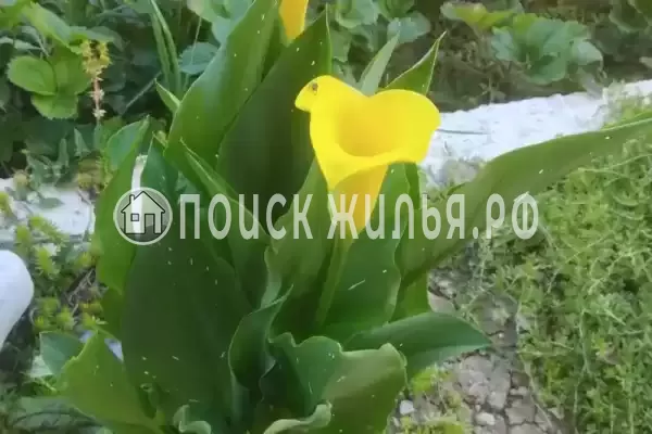 Дом под ключ, пер. Огородный, д.11/117