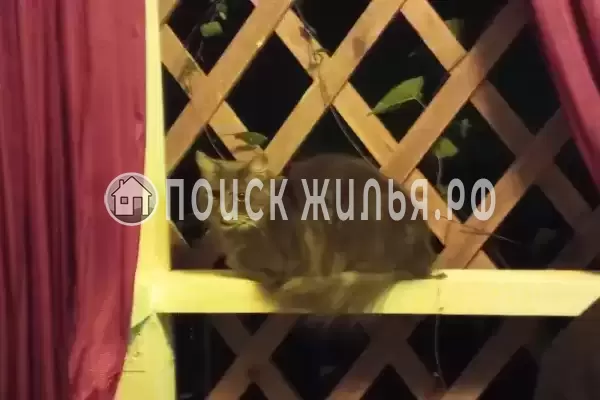 Частный сектор «Домик У Лилии»