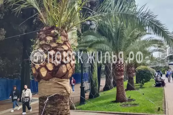 Частный сектор «Домик У Лилии»