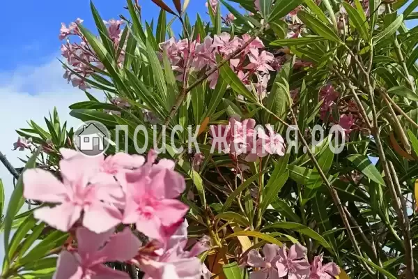 Дом под ключ «Ирис» Дом под ключ «Ирис»