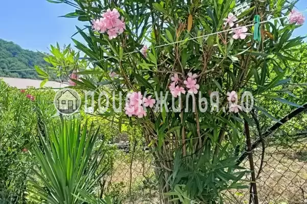 Дом под ключ «Ирис» Дом под ключ «Ирис»