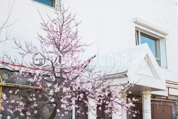 Дом под ключ «Цветок Жизни» Дом под ключ «Цветок Жизни»