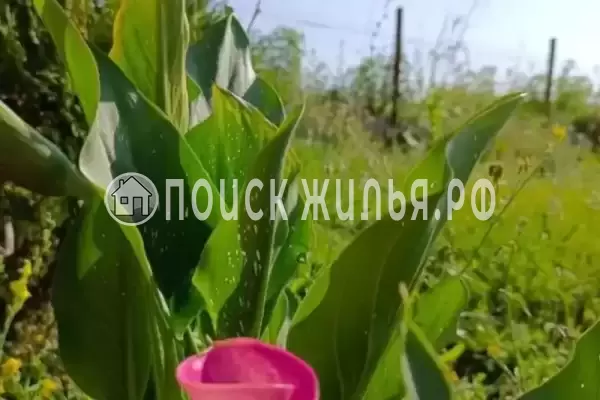 Дом под ключ «Ассоль»