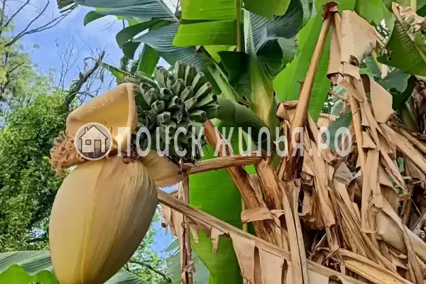 Частный сектор «Дом на Сочинском шоссе» Частный сектор «Дом на Сочинском шоссе»